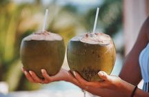 Cebu Whale Shark Encounter, Moalboal Sardines & Tumalog Falls 