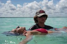 Janzu Aquatic Massage Therapy 