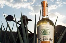 Private Tour to El Tequileño Distillery and visit to Tequila