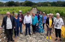 Full Day Tour in Finca Estramancia Vineyard with stop in Chapala