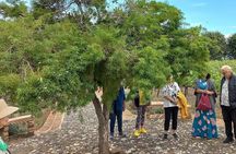 Full Day Tour in Finca Estramancia Vineyard with stop in Chapala
