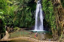 Bali : Ubud Private Tours