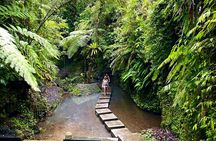 Bali : Ubud Private Tours