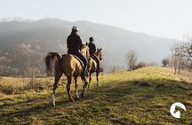 Horseback riding for experts between the lake and the mountains