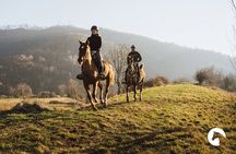 Horseback riding for experts between the lake and the mountains