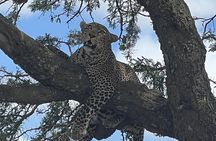 5-Day Visit Zimbabwe, Zambia, Botswana & Namibia Island