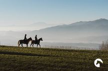 Horseback riding for experts between the lake and the mountains