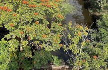 Tour for Nature lover- Lung Ngoc Hoang Nature Reserve in Can Tho