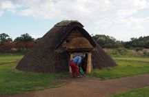 Half-day Private Tour of Jomon Archaeological site and art Museum