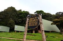 1 Day Mount Kilimanjaro