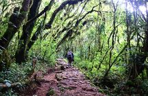 1 Day Mount Kilimanjaro