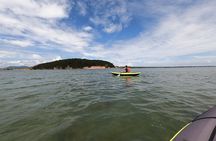 Kayaking at Narta Lagoon from Vlore 