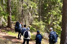 Magical Taiga Forest Hike with Lunch and Transportation
