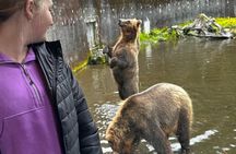 Sitka's Favorite Sites Private Land Tour for 6 (Meal option avail