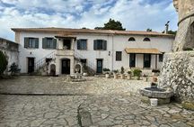 Zakynthos Premium 4x4 Island Experience