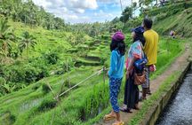 Private Customizable Bali Tour Visit with Transfer Included