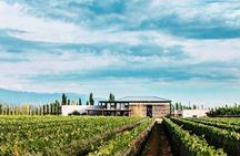 Luján Wine Tasting Guided Experience with Lunch