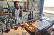 Luján Wine Tasting Guided Experience with Lunch