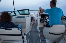 Rovinj Private Dolphin Watching Sunset Speedboat Tour with Drinks