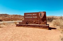 Capitol Reef Full Day Private Tour and Hike