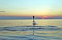 Rovinj Private Dolphin Watching Sunset Speedboat Tour with Drinks