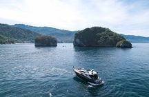 Puerto Vallarta: All Inclusive Coast & Fun 4hrs Yacht 50`Ziba