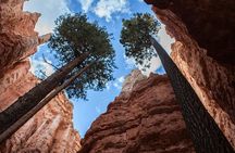 Bryce Canyon Full Day Small Group Tour