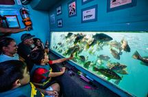 Glass Bottom Boat Ride in Redondo Beach