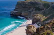 One Day Cape of Good and Penguin Colony Expedition from Cape Town