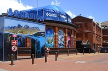 Robben Island Two Oceans Aquarium and Sunset Cruise