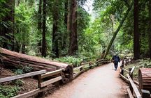 San Francisco, Golden Gate, Sausalito and Muir Woods Private Tour