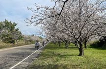 Sakurajima One Day Round Journey with E-bike