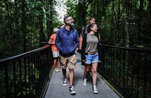 Daintree, Cape Tribulation & River Cruise from Port Douglas