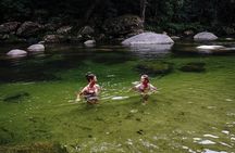 Port Douglas & Daintree Tour for Cruise Ship Passenger