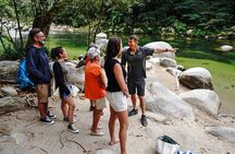 Port Douglas & Daintree Tour for Cruise Ship Passenger