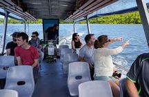 Port Douglas & Daintree Tour for Cruise Ship Passenger