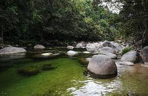 Daintree, Cape Tribulation & River Cruise from Port Douglas