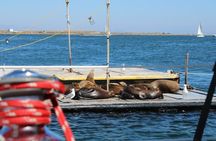 San Diego Private Morning Sail up to 12 guests