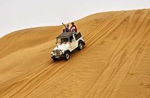 Royal Jaisalmer Tour