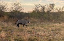 3 Days Guided Tour in Zimbabwe, Zambia and Botswana