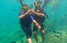 Cham Island Snorkeling Daily Group Tour, Sunbathing, nice beaches