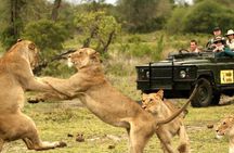 7 Days Safari - Isimangaliso, Hluhluwe & Drakensberg from Durban