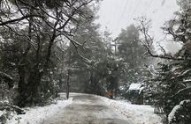 Private Athens Escape in Parnitha Mountain Park