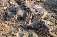 Undiscovered Uzbekistan: Ukhum Village from Samarkand