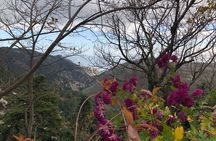 Private Tour To Parnitha and Mpafi Refuge Half Day