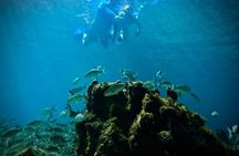 Island & Snorkeling Tour – Smuggler + Cane Garden Bay 