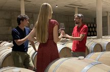 Small Group - Half-Day Wine Tour