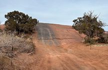 Fins and Things 4x4 tour