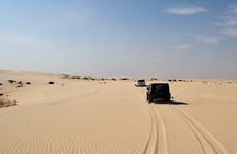 Desert Sand Boarding with Snack in Agadir Morocco