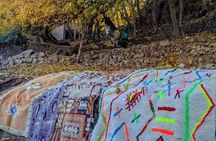 Atlas Mountains Day Trip: Camel Ride Waterfalls & Berber Villages